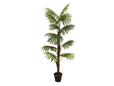 Europalms Fächerpalme, Kunstpflanze, 155cm