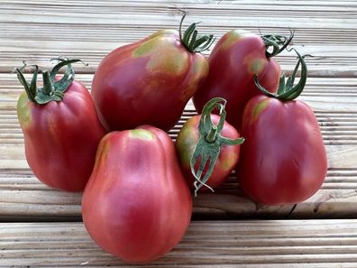 TOMATE PURPLE PEAR Brandywine 5+ Samen samenfeste Stabtomate P 594