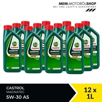 Castrol Magnatec 5W-30 A5 12x1 Liter