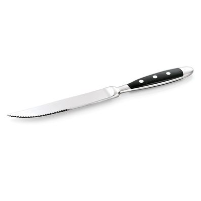 12er Set Steakmesser Messer Chromstahl+ Kunststoffgriff 21,5 cm