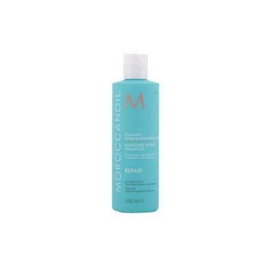 moroccanoil Haarshampoo Moisture Repair Shampoo, -, 1-tlg., -, Feuchtigkeitsspendend