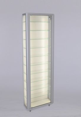 schmale Wandvitrine Glas beleuchtet Vitrine Wand stehend & Schloss 20 cm tief