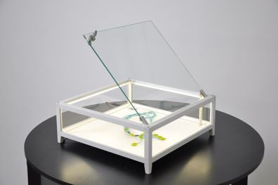 kleine flache Tisch Präsentationsvitrine beleuchtet mit Schloss 42 cm silber