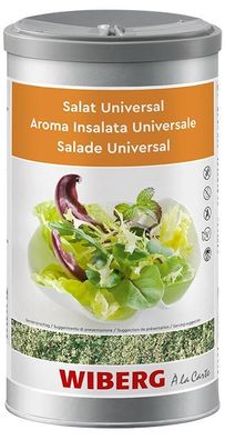 WIBERG Salat Universal Würzmischung mit Bindung 900g