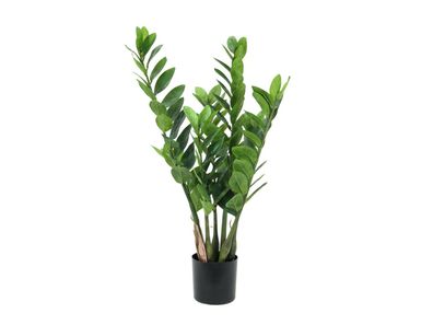 Europalms Zamifolia, Kunstpflanze, 70cm