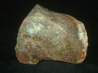 Versteinertes Holz Anschliff -Mineralien-Heilsteine-Anschliffe-Fossilien-
