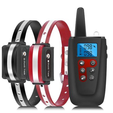 Hundetrainer starker Vibration 2 Hunde