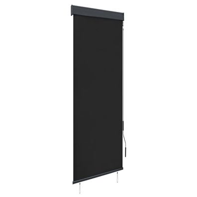 vidaXL Außenrollo 60 x 250 cm Anthrazit