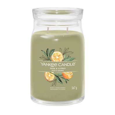 Yankee Candle Sage & Citrus Signature Duftkerze Großes Glas 567 g