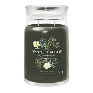 Yankee Candle Silver Sage & Pine Signature Duftkerze Großes Glas 567 g