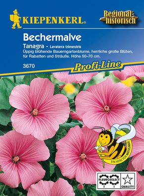 KIEPENKERL® Bechermalven Tanagra - Blumensamen