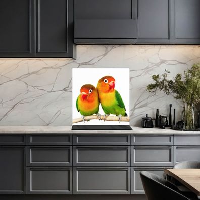 banjado® Küchenrückwand aus gehärtetem Glas magnetisch Motiv Papageien
