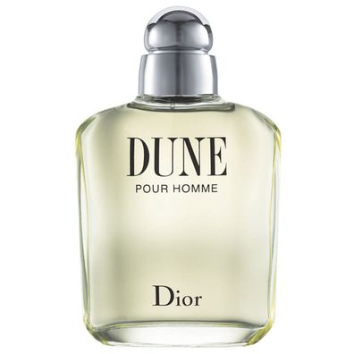 Dior Dune Pour Homme EdT 100 ml Herrenduft