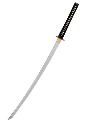 John Lee Practical Katana