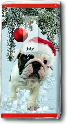 10 Taschentücher 1 Pack Motiv Weihnachtshund Christmas - Santa dog Weihnachtsmütze