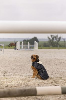 Hundemantel Teddy aus Nylon