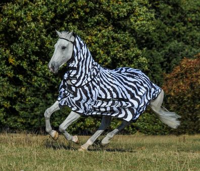 Pony Sweet-itch Zebra