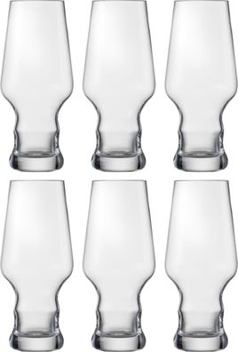 EISCH Craft Beer Becher 203/61 - 6 Stück im Karton CRAFT BEER Experts 30020363