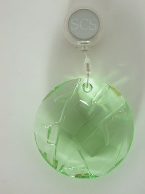 Swarovski Bambus Ornament 905542 Mitgliedergeschenk SCS Bamboo Ornament member gift