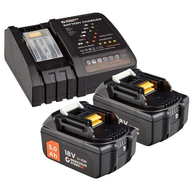 WS24 Akku Starter-Set 18 V / 2x 5,0 Ah Akku + Schnellladegerät