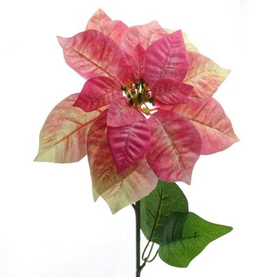 Weihnachtssternblüte Poinsettie Creme & Rosa 65 cm - Kunstblumen