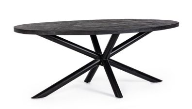 Esstisch Hastings 200 x 110 x 76 cm in Schwarz Mangoholz Oval Kufengestell Stahl