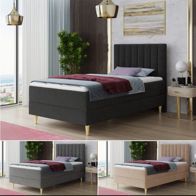 Boxspringbett GOLD MINI Bonell-Matratze Topper Bettkästen goldene Beine Doppelbett