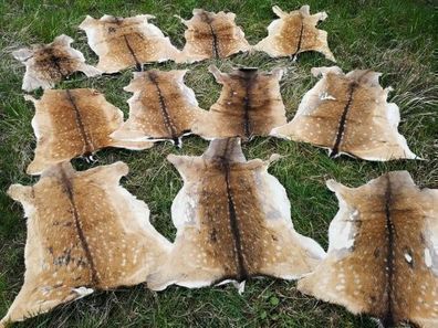 Damwild Bambi Damwild Reh Wild Damhirsch HirschFell Larp Mittelalter Brau 2. Wahl