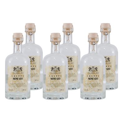 Villa Rillago Moscato Grappa (6 x 0,5L)