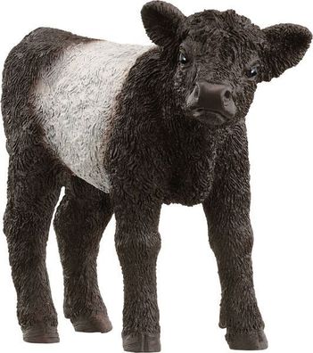 schleich® Farm World 13969 Galloway Kalb