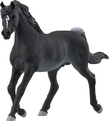 schleich® Horse Club 13981 Araber Hengst