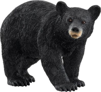 schleich® Wild Life 14869 Amerikanischer Schwarzbär