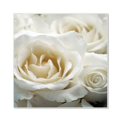 Design Magnettafel von banjado® mit Motiv White Roses