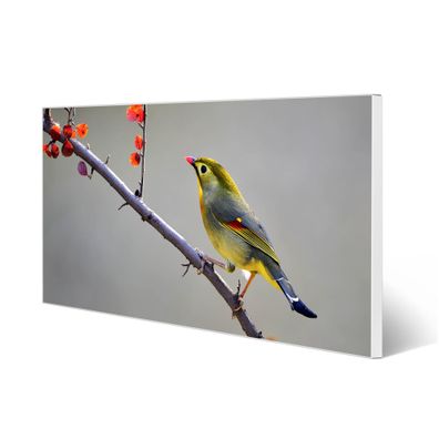 banjado® Magnettafel aus Stahl weiß magnetisch Motiv Herbst Vogel