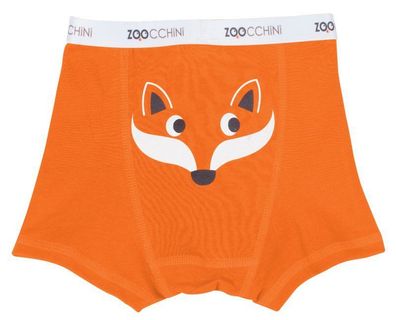 ZOOCCHiNi Jungen BIO Boxershorts