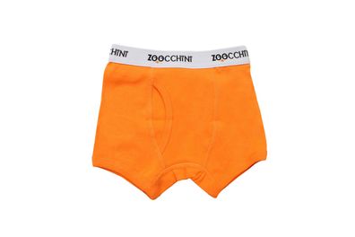 ZOOCCHiNi Jungen BIO Boxershorts