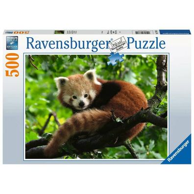 Puzzle Süßer roter Panda (500 Teile)