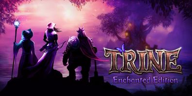 Trine Enchanted Edition (PC, 2009, Nur Steam Key Download Code) Keine DVD, No CD