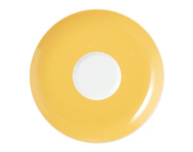 Seltmann Weiden Kombi-Untertasse groß 16,5 cm Liberty Meadow Grasses curry 001.769710