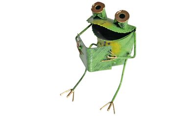 Frosch "Fridolin"