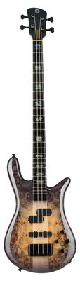 Spector Euro CST