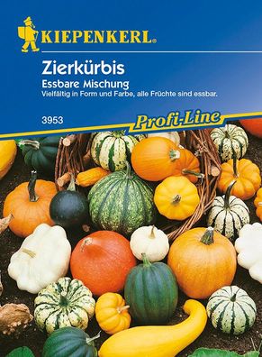 Cucurbita pepo Zierkürbis Essbare Zierkürbismischung