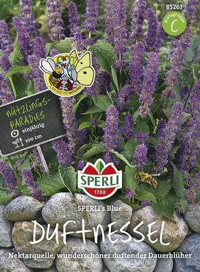 Duftnessel Sperli`s Blue, blau blühend, Bienen und andere Nützlinge nutzen
