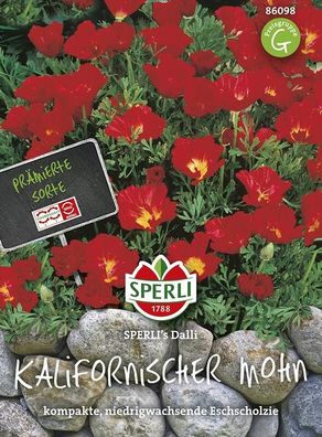 Kalifornischer Mohn Schlafmützchen Dalli