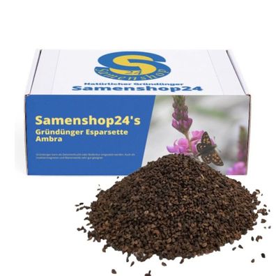 Samenshop24® Esparsette Ambra Onobrychis viciifolia, Futterpflanze Gründünger