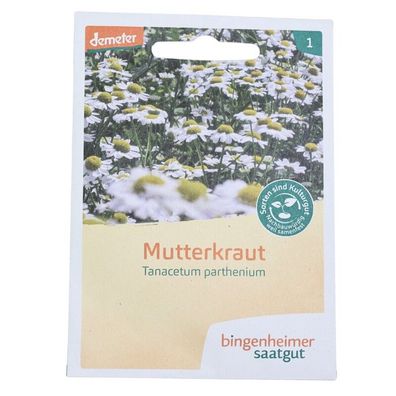 Mutterkraut, attraktive Heil- und Bauerngartenpflanze, Nektarspender,