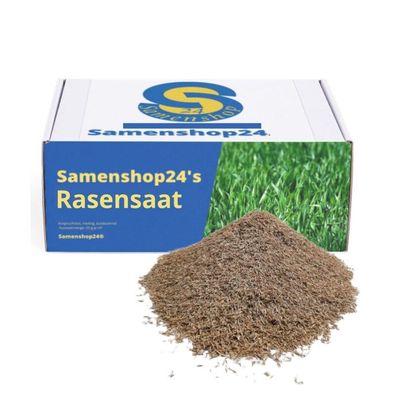 Samenshop24® RSM-Rasensamen 3.2 Sportrasen Regeneration mit Poa pratensis 1kg