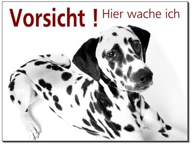 Dalmatiner Hund Alu Schild 15x10 oder 20x15 cm Türschild Warnschild Hundeschild