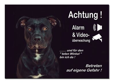 Pitbull Hund Aluminium Alarm+Video Schild 3 Größen Türschild Warnschild Hinweis