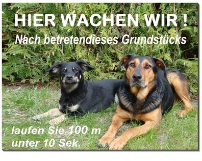 Mischlinge Hunde Alu Schild Hund 3 Größen Türschild Warnschild Hundeschild TOP